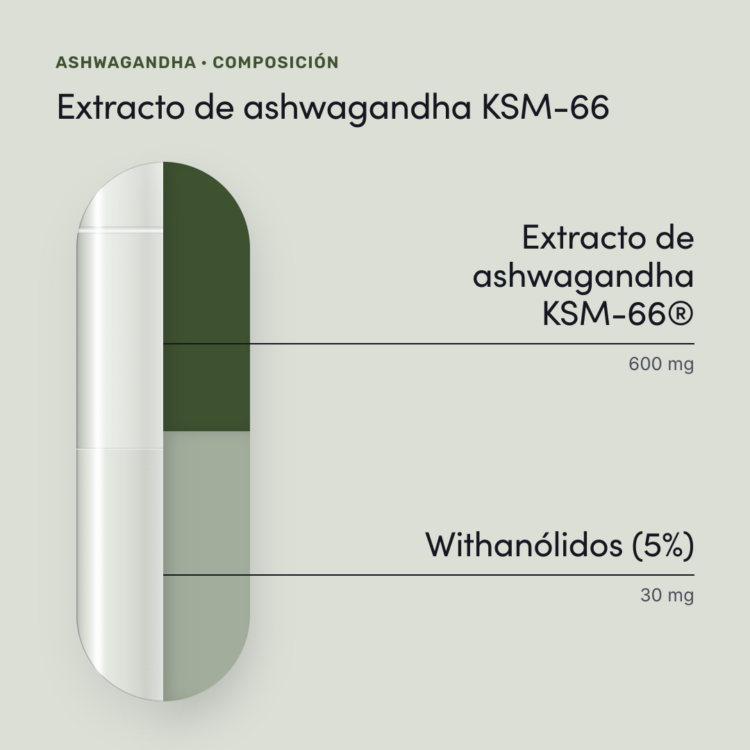 Ashwagandha — composición