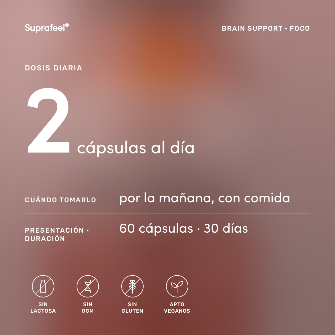 Brain support — modo de uso