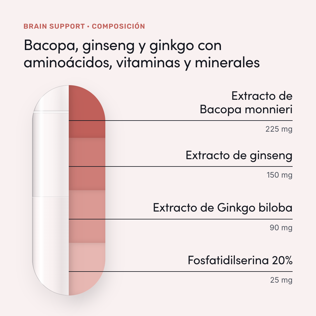 Brain support — composición