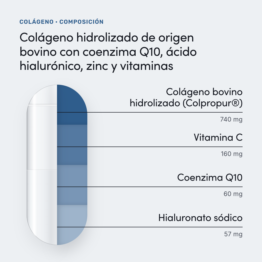 Colágeno — composición