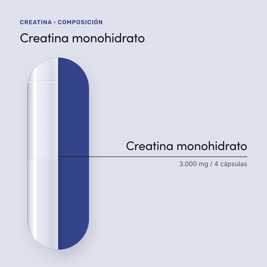 Creatina — composición