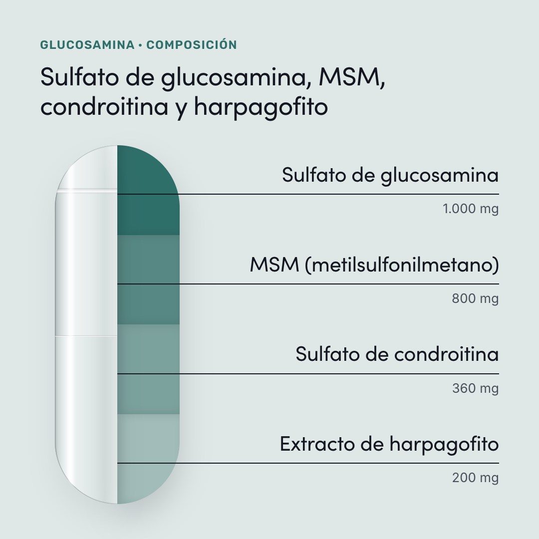 Glucosamina — composición