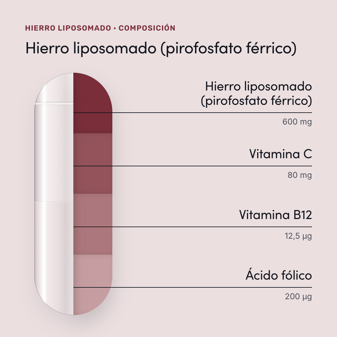 Hierro liposomado — composición